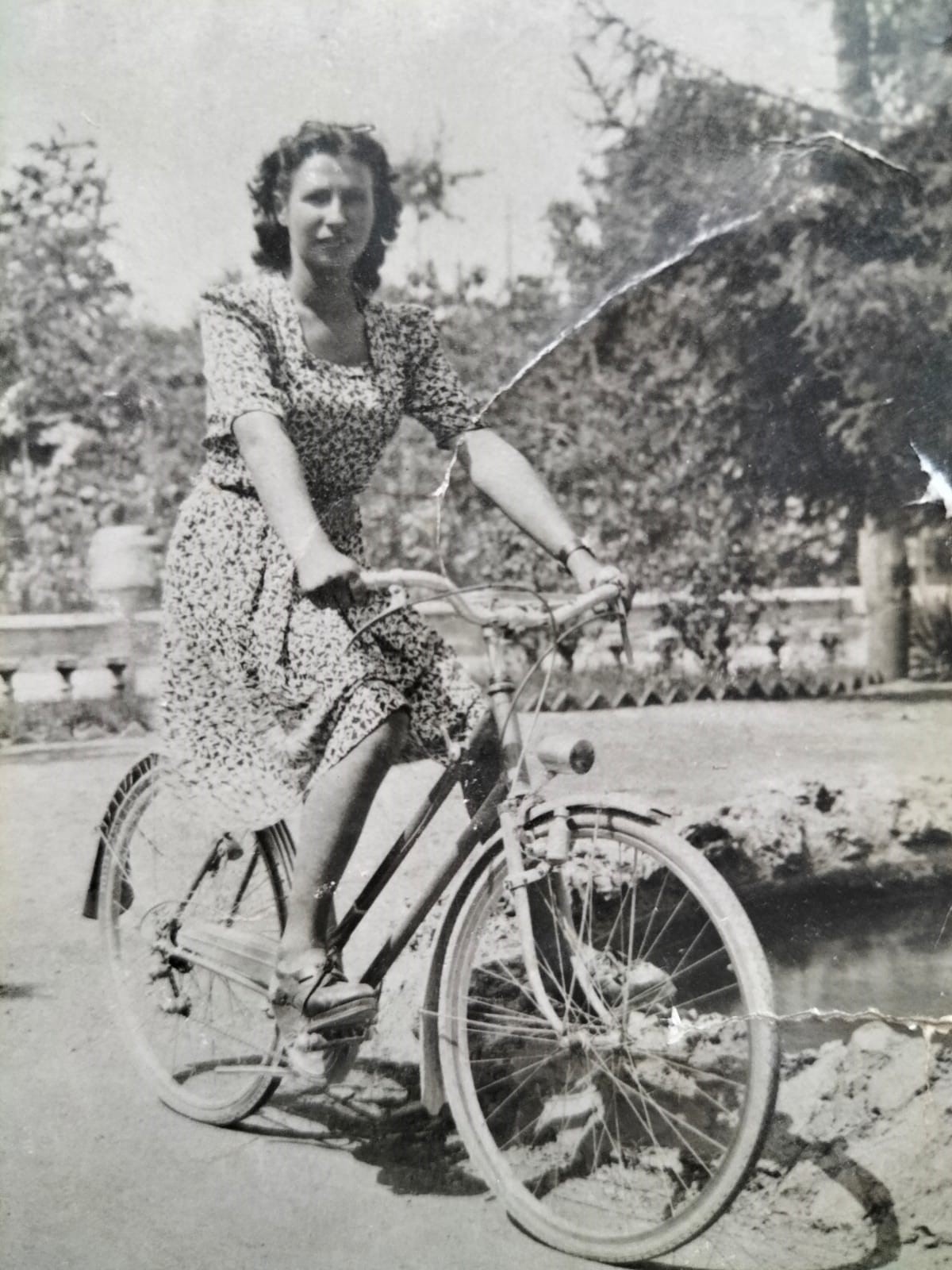 Anita Barbero